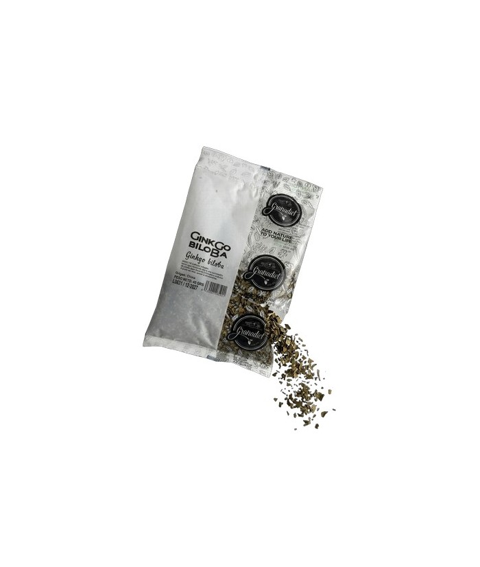 GINGKO BILOBA PLANTA CORTADA 40 Gr.