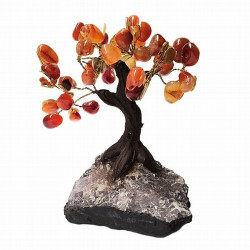Árbol compuesto de unas 45 piedras de Ágata Carneola (de 1cm aprox).

Base de drusa de Amatista.

Medida: 12 cm de alto apr