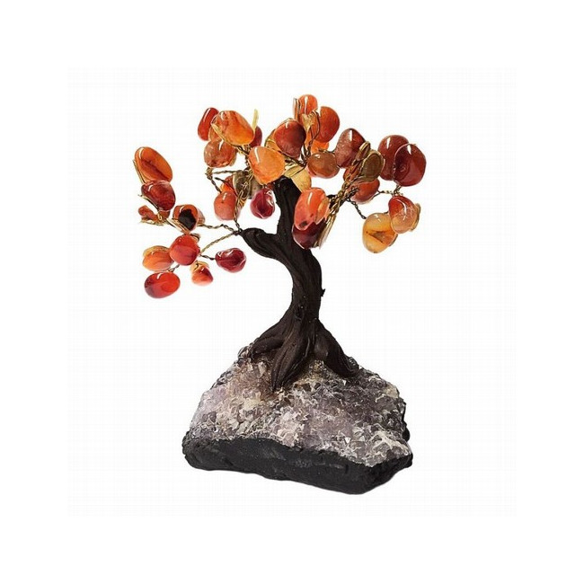 Árbol compuesto de unas 45 piedras de Ágata Carneola (de 1cm aprox).

Base de drusa de Amatista.

Medida: 12 cm de alto apr