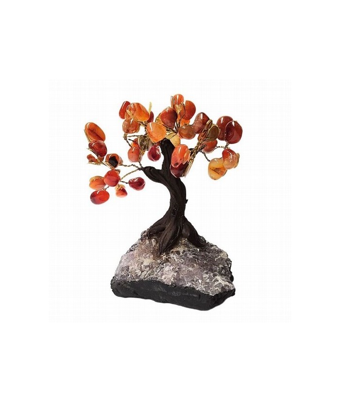 Árbol compuesto de unas 45 piedras de Ágata Carneola (de 1cm aprox).

Base de drusa de Amatista.

Medida: 12 cm de alto apr