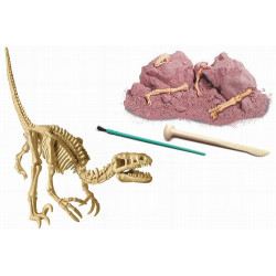 Conviértete en un paleontólogo. Excava y reconstruye el esqueleto de un VELOCIRAPTOR que esta enterrado en un bloque de tierra 