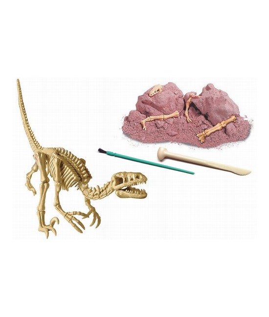 Conviértete en un paleontólogo. Excava y reconstruye el esqueleto de un VELOCIRAPTOR que esta enterrado en un bloque de tierra 