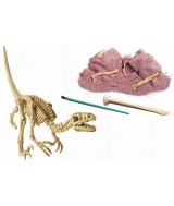 Conviértete en un paleontólogo. Excava y reconstruye el esqueleto de un VELOCIRAPTOR que esta enterrado en un bloque de tierra 