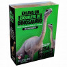 Conviértete en un paleontólogo. Excava y reconstruye el esqueleto de un BRACHIOSAURUS que esta enterrado en un bloque de tierra