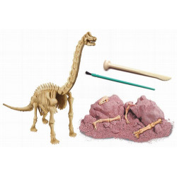 Conviértete en un paleontólogo. Excava y reconstruye el esqueleto de un BRACHIOSAURUS que esta enterrado en un bloque de tierra