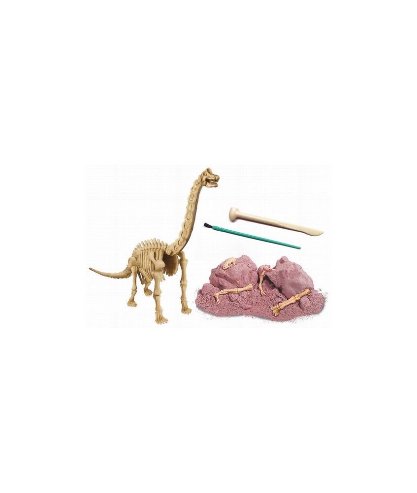 Conviértete en un paleontólogo. Excava y reconstruye el esqueleto de un BRACHIOSAURUS que esta enterrado en un bloque de tierra