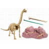 Conviértete en un paleontólogo. Excava y reconstruye el esqueleto de un BRACHIOSAURUS que esta enterrado en un bloque de tierra