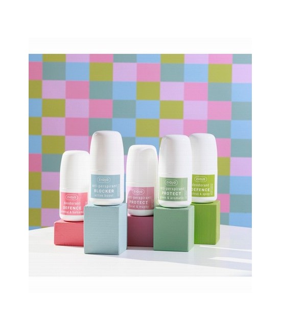 ZJ.DESODORANTE DEFENCE CITRUS SPICY 60 ML.