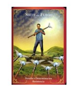 MS.TAROT MENSAJES DE LOS ANGELES GUARDIANES 78 CARTAS + LIBRO