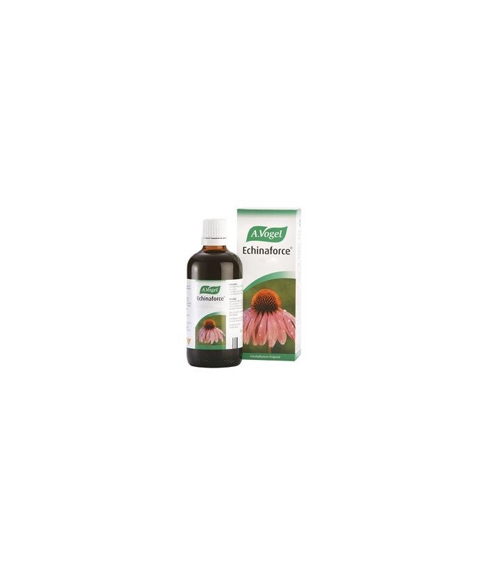 En los años 50 del s.XX, Alfred Vogel conoció de la mano de Alce Negro, jefe sioux, los beneficios de la Echinacea. Llevó sus s