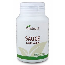 Sauce
Ref: D 2047
Planta rica en salicilina, compuesto químico muy próximo al










acido acetil salicílico.