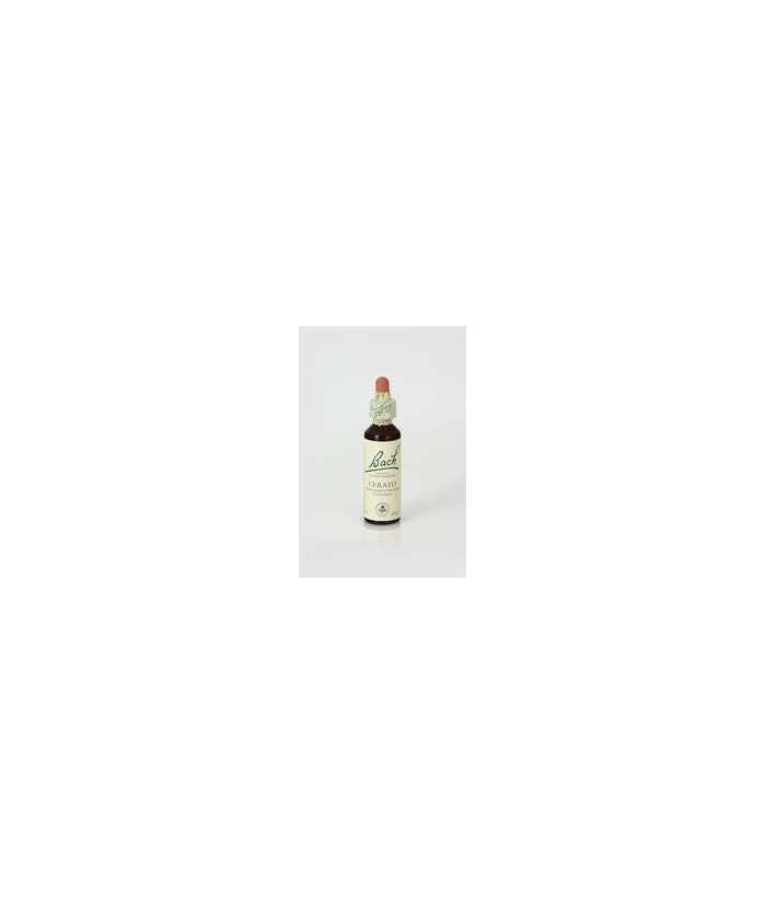 Contenido: 
Frasco de cristal de 20ml con gotero.
Composición: 
Disolución acuosa de Ceratostigma willmottiana, alcohol de u