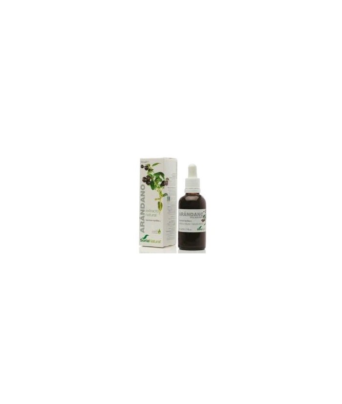 Extracto seco de hojas de *Vaccinium myrtillus L. en glicerina vegetal.