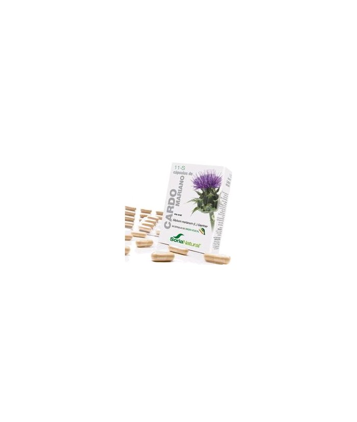 Silybum marianum Gaertn. ( semillas).

Silibina...............36 mg; ( 6 mg / cápsula).
