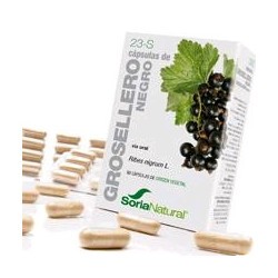 Ribes nigrum L. (hojas).

Flavonoides (ácido caféico, vitexina, hiperósido etc.).......... 18 mg; (3 mg / cápsula).