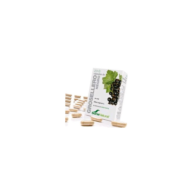 Ribes nigrum L. (hojas).

Flavonoides (ácido caféico, vitexina, hiperósido etc.).......... 18 mg; (3 mg / cápsula).