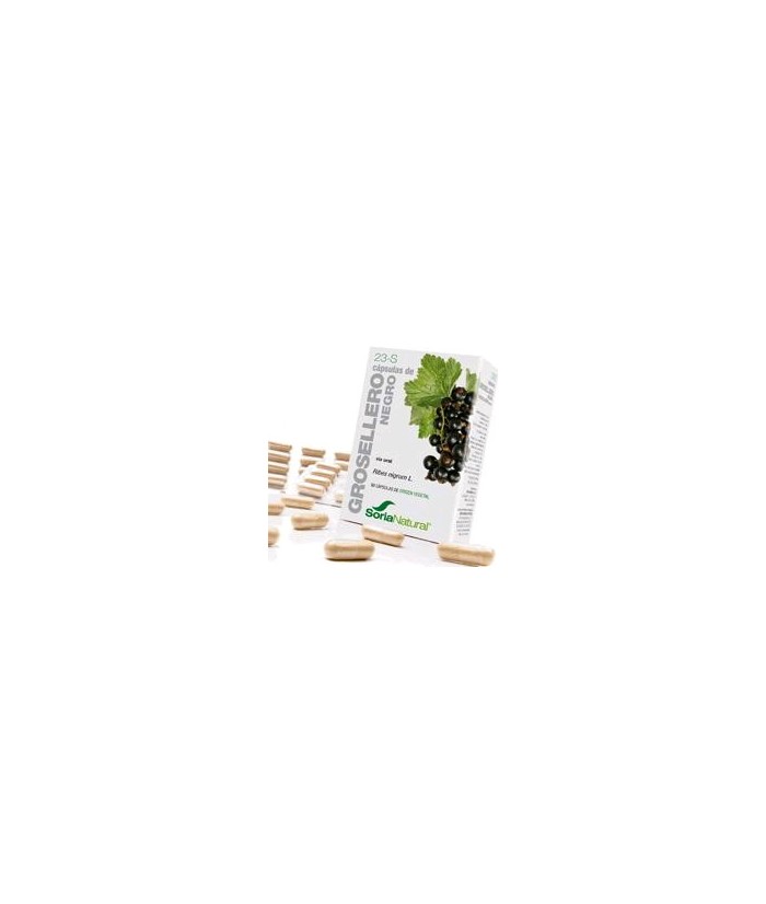 Ribes nigrum L. (hojas).

Flavonoides (ácido caféico, vitexina, hiperósido etc.).......... 18 mg; (3 mg / cápsula).