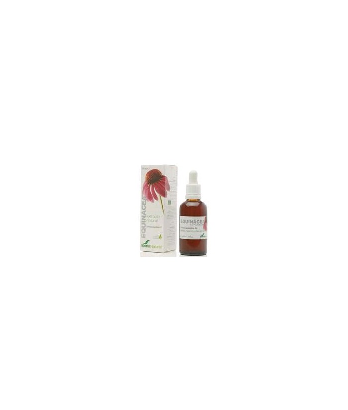 Extracto natural de raíz de *Echinacea angustifolia D.C. en glicerina vegetal.
Flavonoides.................0,2 mg / ml; 0,6 mg