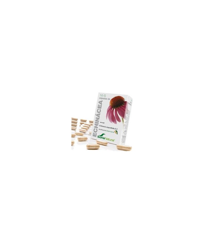 *Echinacea angustifolia D.C. (raíz).

Derivados caféicos..................0,9 mg; ( 0,15 mg / cápsula).

Flavonoides ( ácid