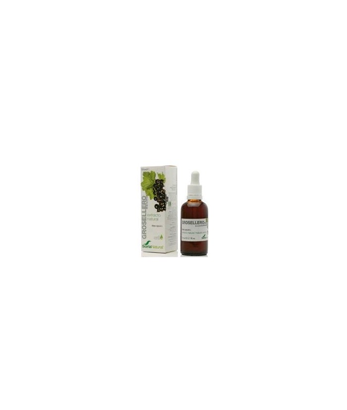 Extracto natural de hojas de Ribes nigrum L. en glicerina vegetal.