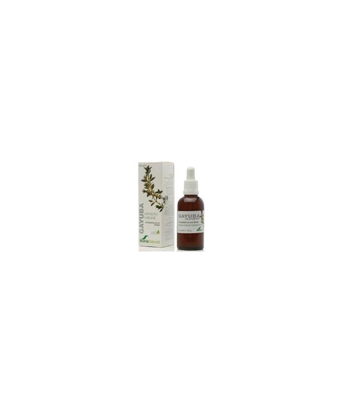 Extracto natural de hojas de *Arctostaphylos uva-ursi Spreng. en glicerina vegetal.