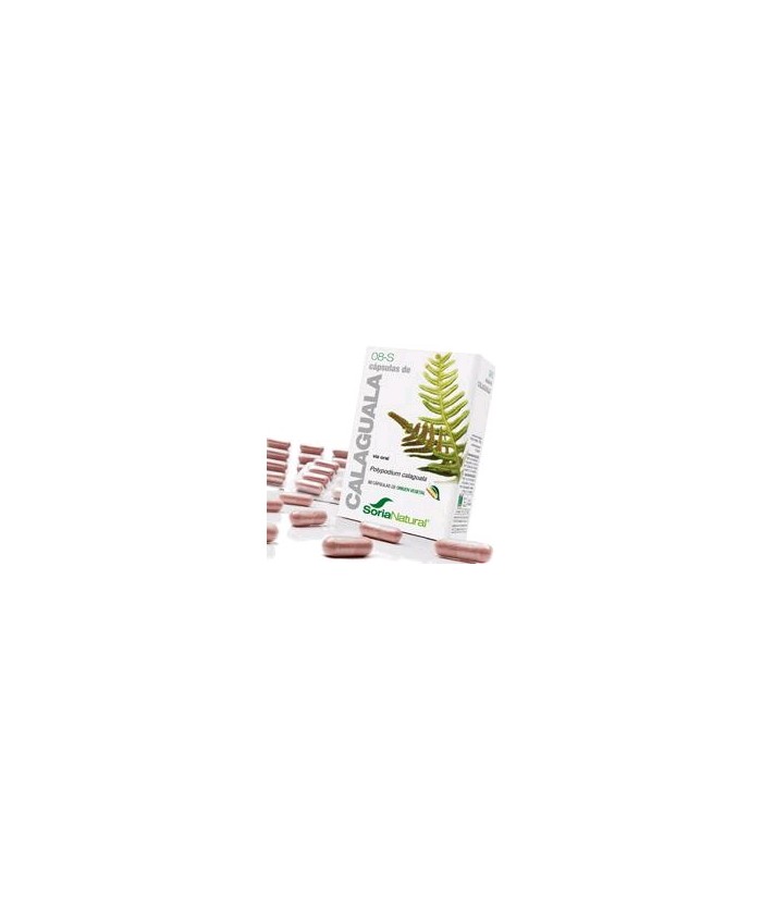 Polipodium calaguala L. (rizoma).

Saponinas.......................27,9 mg; (4,65 mg / cápsula).