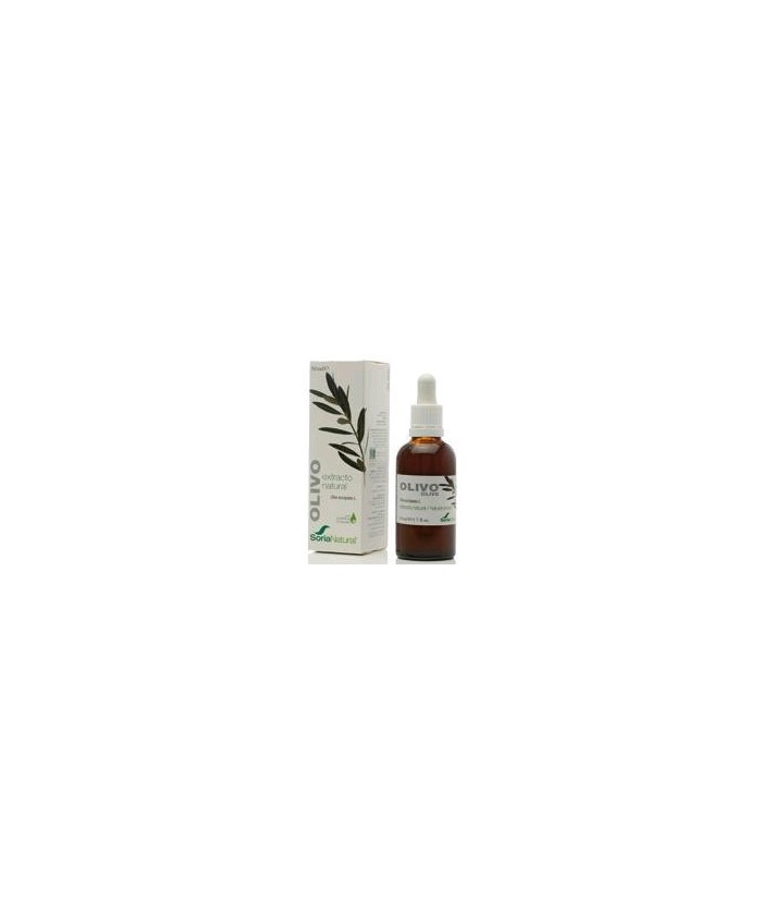 Extracto natural de hojas de Olea europaea L. en glicerina vegetal.