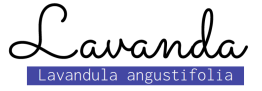 esencia de lavanda letra