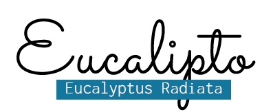 letra eucalipto