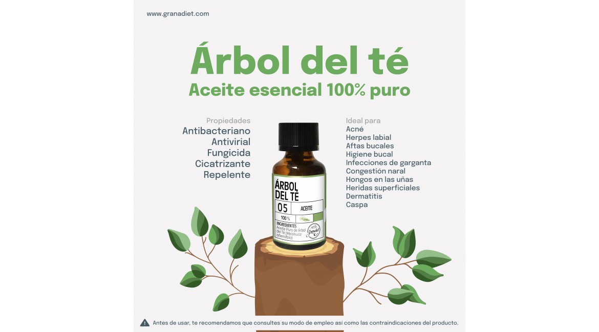 Árbol del té